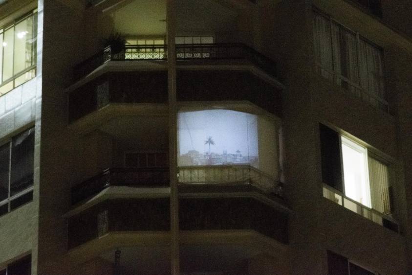 Desde la ventana de su apartamento, Natalia Pérez compartió el anhelo de querer estar en dos lugares a la vez, Bogotá y Medellín, con una palmera como símbolo. FOTO cortesía banco de la república 