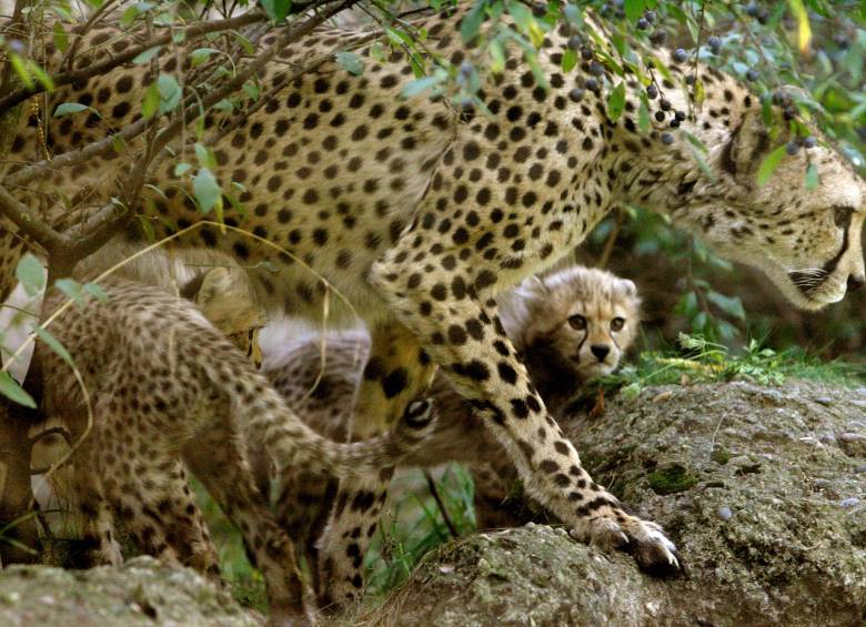 FOTO REUTERS