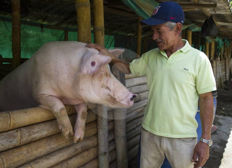 Tras las huellas de la restitución de tierras