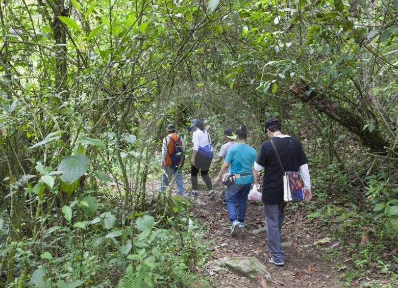 Por fortuna los cuatro adultos pudieron encontrar la salida y llegaron en buenas condiciones de salud. FOTO ARCHIVO (EDWIN BUSTAMANTE)