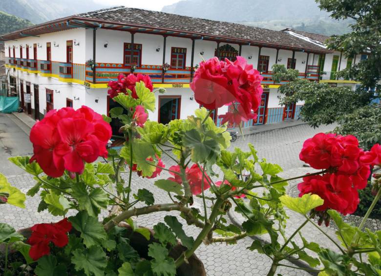 Que su jardín sea el más florecido