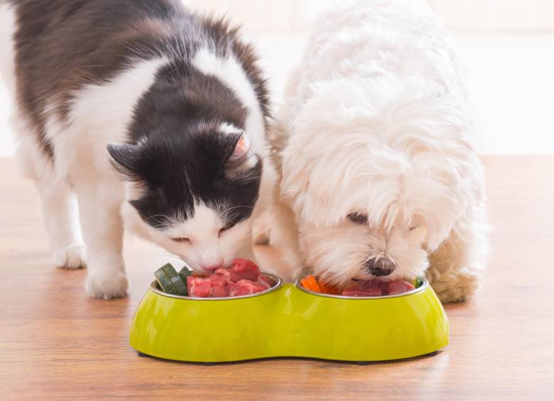 Acudir a los profesionales para seleccionar una dieta balanceada garantiza el bienestar y la salud de las mascotas. FOTO sstock