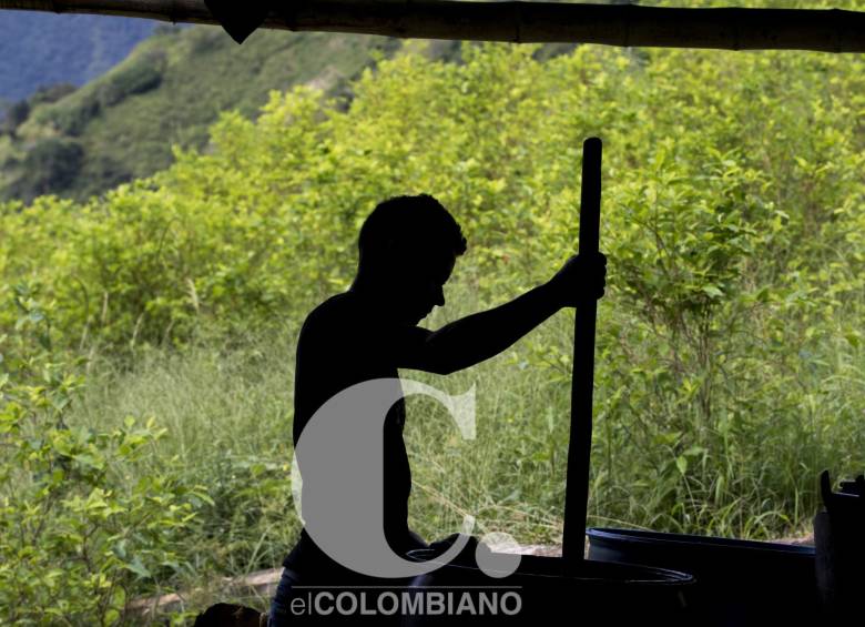 1. Cada cultivo tiene su “caleta” para procesar las matas de coca. 2. Paso sobre el río El Pescado en la vía a Orejón. Allí piden la construcción de un puente. 3.Algunos labriegos mezclan cultivos de coca y café, sin embargo el sustento lo da lo ilegal. 4.Plantación de coca.