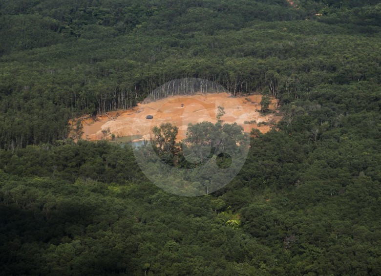 Antioquia ha sido uno de los departamentos con mayor deforestación en Colombia. FOTO ARCHIVO ESTEBAN VANEGAS