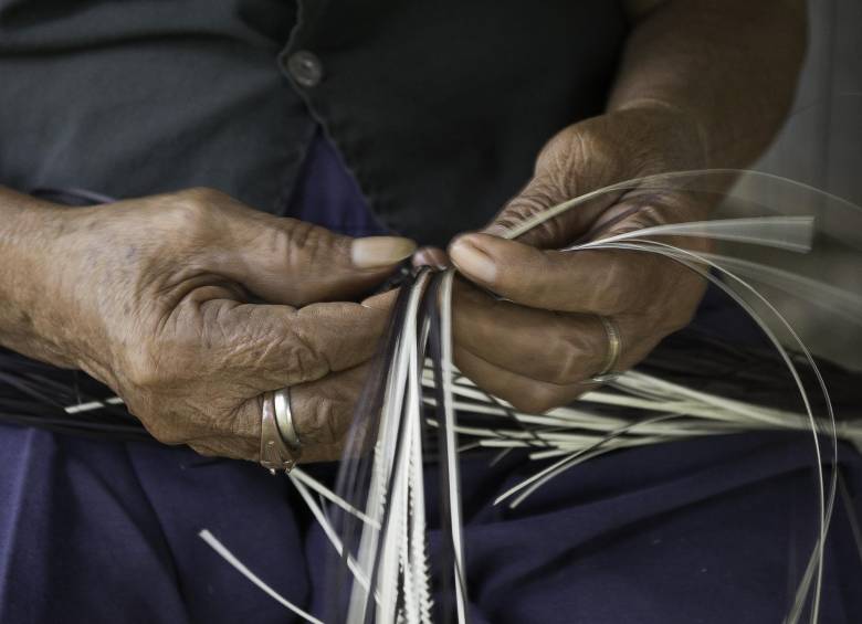 Al rescate de la tradición zenú, un tesoro nacional