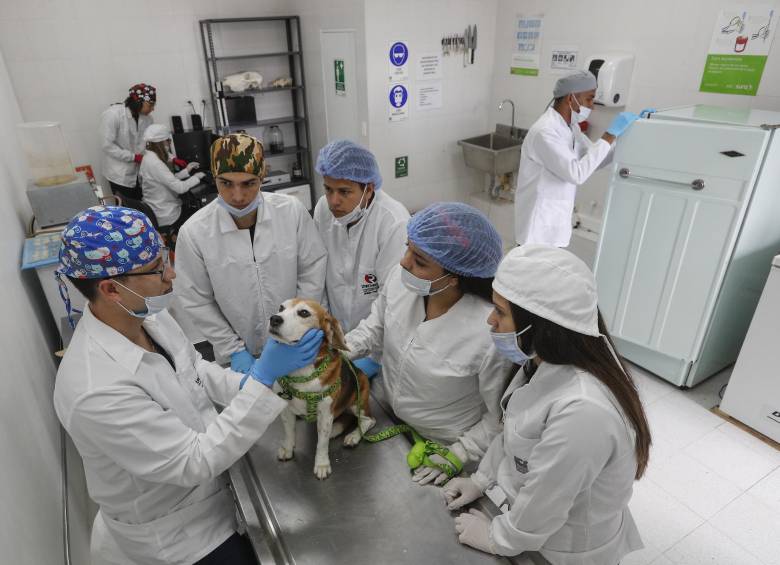 Julio Aguirre (izquierda) es reconocido como el único veterinario forense en Medellín, quien tendrá a cargo la cátedra para los médicos veterinarios de la Uniremington. FOTO manuel saldarriaga