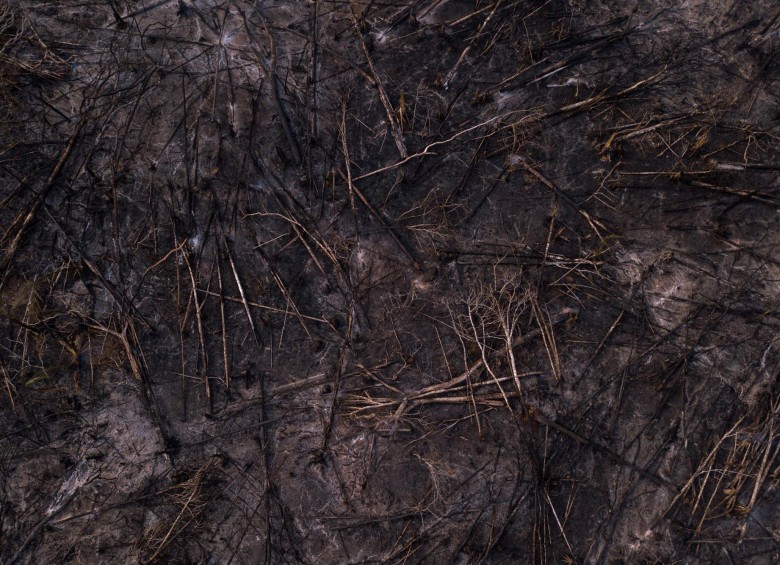 Toma aérea de una parte del Parque Nacional Natural Tinigua que fue afectado por los incendios registrados la semana pasada.