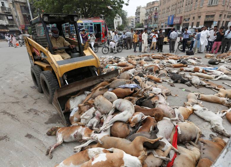 El panorama en algunas calles de Karachi en los últimos días fue desolador. FOTO REUTERS