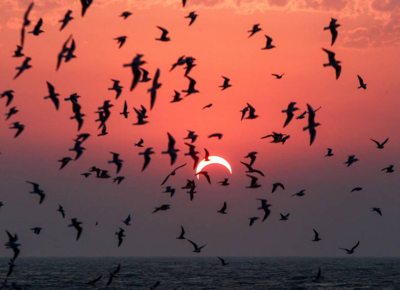 Esta imagen fue tomada en Kuwait. FOTO AFP