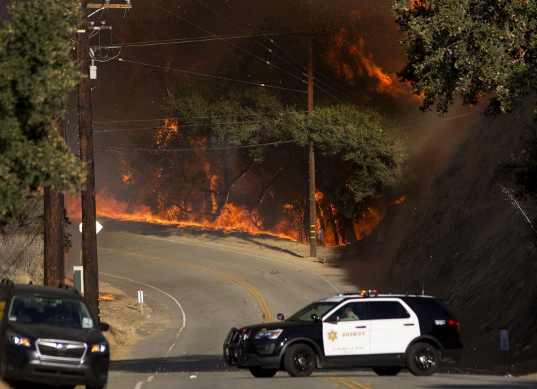 Las dolorosas cifras que deja el incendio que azota a California 