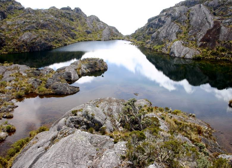 El páramo de Santurbán está ubicado en Santander y Norte de Santander. FOTO COLPRENSA