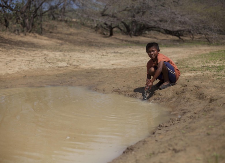 El agua es el otro gran problema de La Guajira, pues mientras en el centro del país se le hace el quite a la lluvia, en La Guajira el año es bueno si llueve dos veces. FOTO COLPRENSA