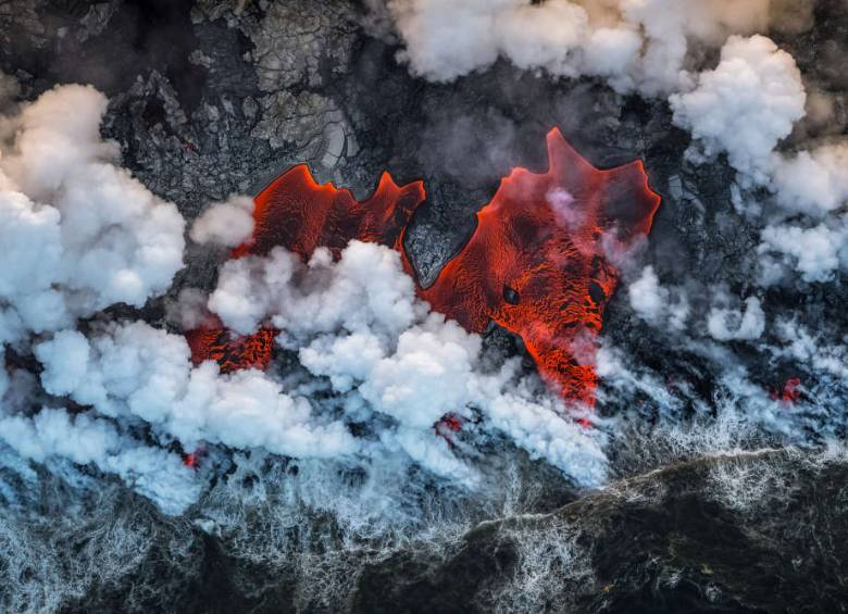 Las fotos ganadoras del Wildlife Photographer Of The Year