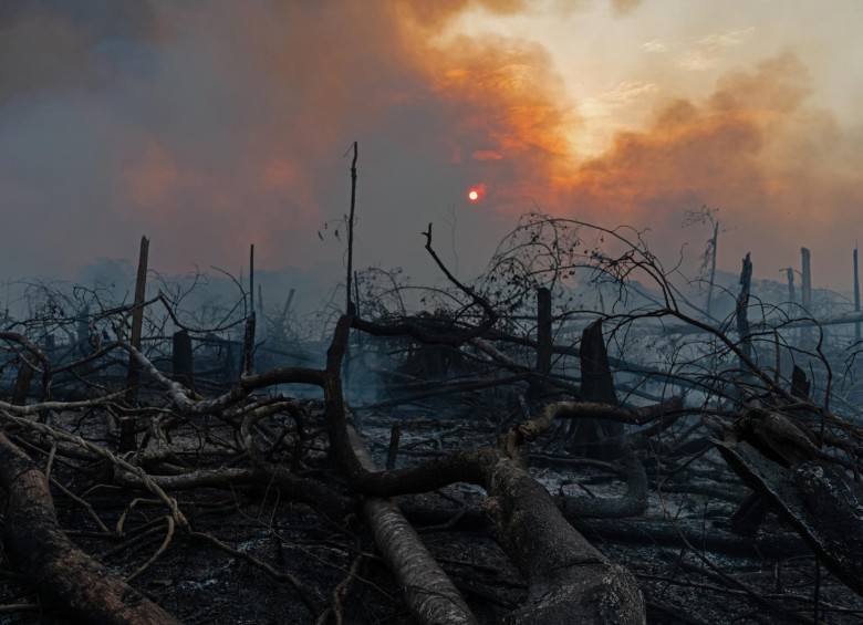 Luego de controlar las llamas, Mindefensa afirmó que tomó control de 1.900 hectáreas afectadas por la deforestación en esta región del país. FOTOs Andrés Cardona