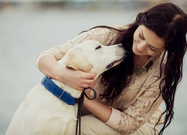El 65 % de las personas que compran productos para mascotas a través de Internet son mujeres. FOTO Sstock