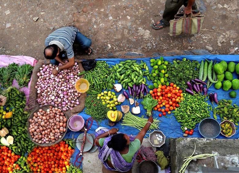La población mundial se alimenta básicamente de cinco cultivos