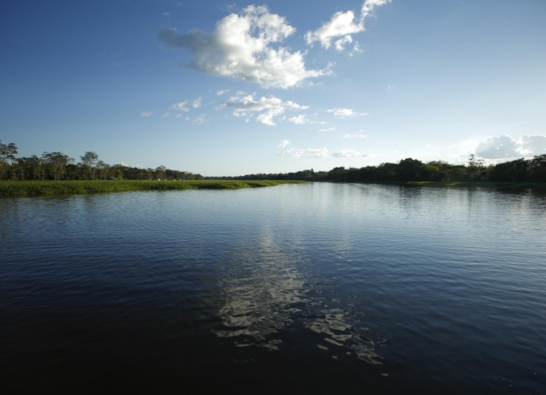 Las alertas de deforestación en la Amazonía brasileña aumentaron un 25 % en el primer semestre de 2020 con respecto al año anterior, lo que supuso un nuevo récord en el mes de junio. Foto: Colprensa. 