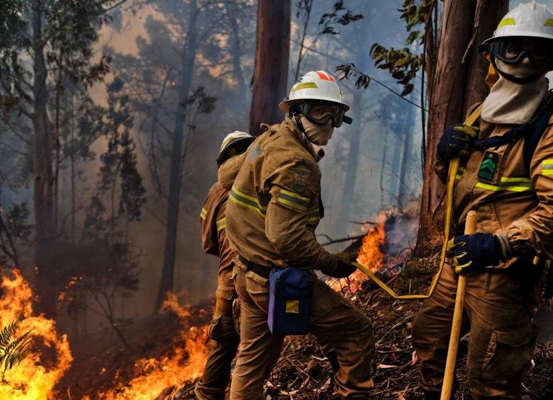 Bomberos intentan controlar uno de los incendios en Portugal. FOTO AFP