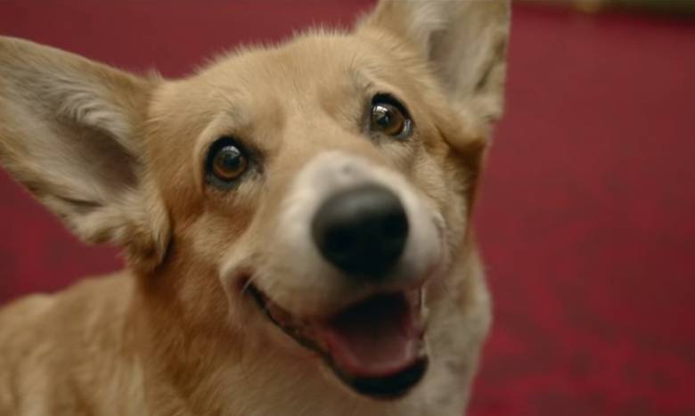 Los perros actuaron en la inaguración de los Olímpicos de Londres. FOTO Youtube/Olympics