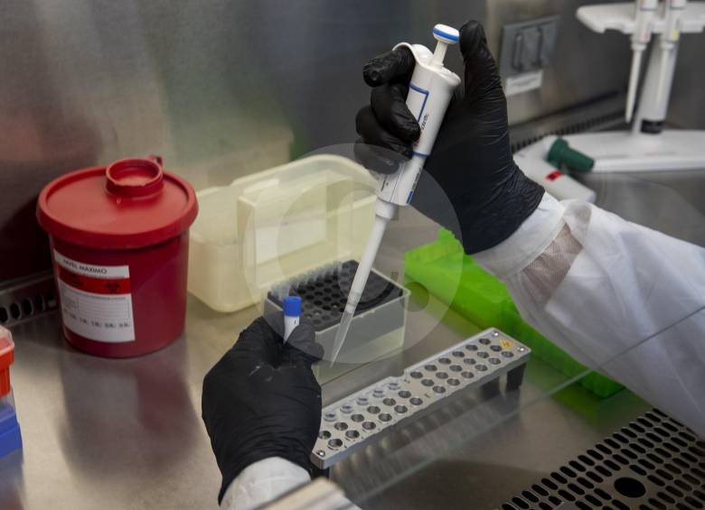 La prueba PCR implica 3 etapas y puede verse alterada por errores humanos que desencadenen en contaminaciones biológicas. FOTO Esteban Vanegas