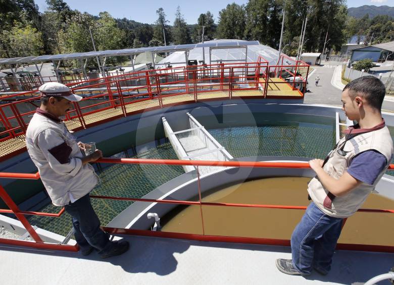 La nueva planta es la primera fase de un proyecto de suministro de agua para zonas rurales y pobladas de Envigado, Rionegro y El Retiro. Foto MANUEL SALDARRIAGA