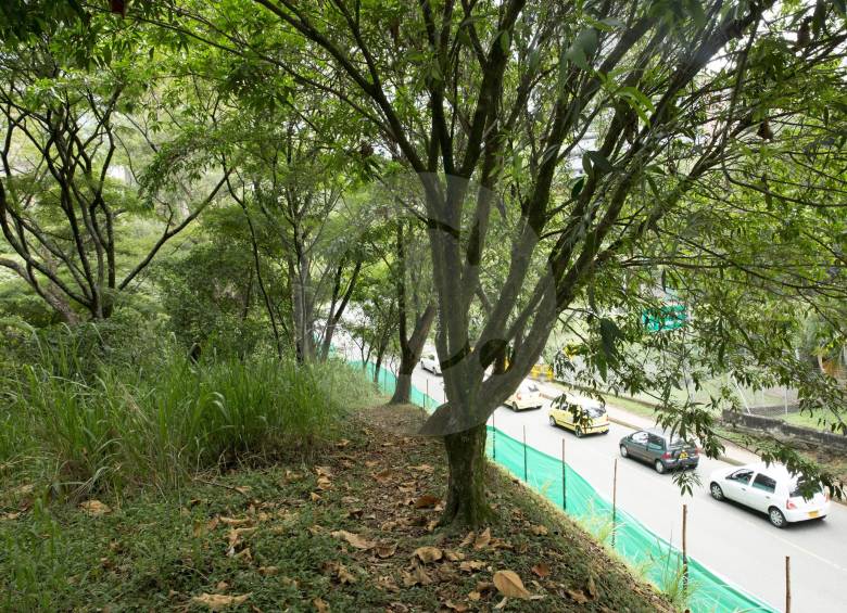 Cinco meses han permanecido detenidas las obras de construcción de segunda calzada en la avenida 34, desde el 4 de marzo, cuando se dictaron medidas cautelares. FOTO Edwin Bustamante