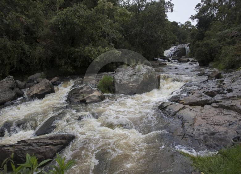 Proteger las cuencas de agua, desde su nacimiento y en su curso, es clave para garantizar el abastecimiento del recurso a futuro, defenderlo de las amenazas. FOTO archivo