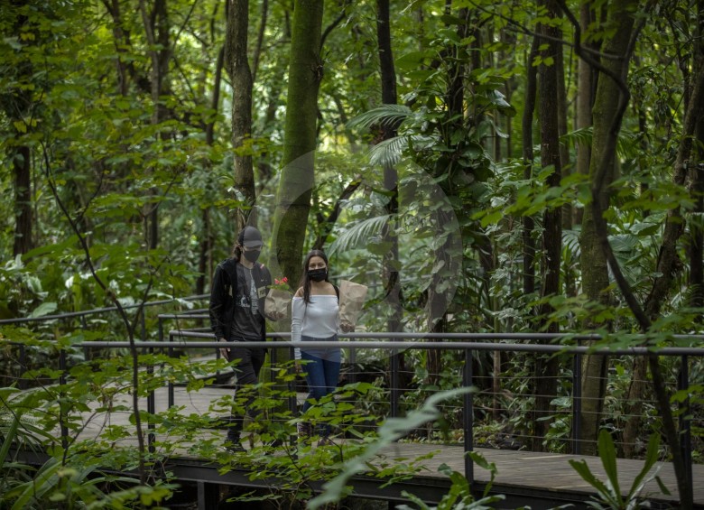 Con protocolos de bioseguridad, el Jardín Botánico y el Parque Explora están abiertos a niños, jóvenes, adultos y adultos mayores. FOTO Camilo Suárez