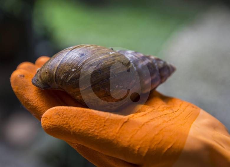 FOTO EDWIN BUSTAMANTE