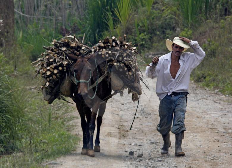 El Gobierno Nacional ha hecho varios intentos por pavimentar las vías terciarias. Hubo un paquete de inversiones que alcanzó los 2,5 billones. FOTO julio cesar herrera