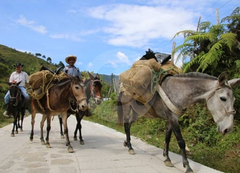 Las vías terciarias o veredales les facilitan a los campesinos comercializar mejor sus productos. FOTO cortesía gobernación