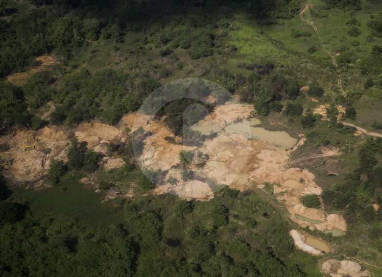 De acuerdo con el Ideam, en 2019, la reducción de la deforestaciónfue del 19,2%, mientras que en 2018 fue el 10%. FOTO Esteban Vanegas
