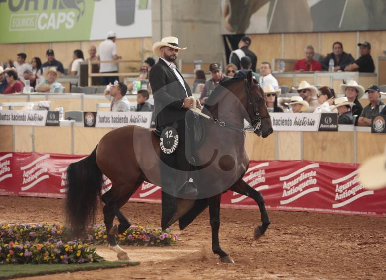 Ayer se realizaron en Asdesilla, sede de Rionegro, las pruebas de trote y galope. En la imagen, el Caballo Milagro de Humarak, uno de los equinos en competencia. FOTO Carlos Velásquez