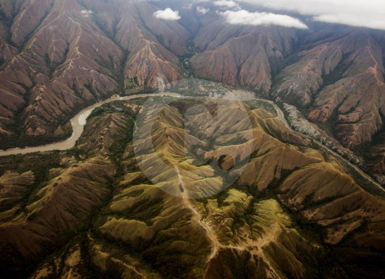 La estrategia regional del Pacto por los Bosques suma ahora la creación del Observatorio de Bosques Andinos y la llegada de BanCO2 al Valle de Aburrá. FOTO Esteban Vanegas