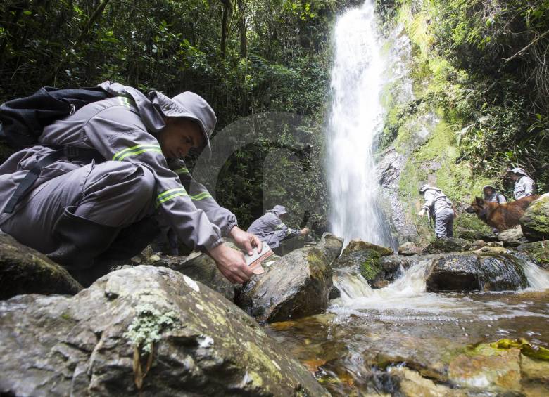 Uno de los objetivos de los guardabosques es la protección de las cuencas hídricas que abastecen acueductos veredales. FOTO Manuel Saldarriaga