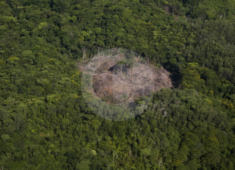La deforestación en el Bajo Cauca (foto) para la minería ilegal ha generado daños ambientales irreversibles. Según el Ministerio de Minas y Energía, el 78 % de la explotación de oro de aluvión en tierra se concentra en Antioquia y Chocó. FOTO Esteban Vanegas