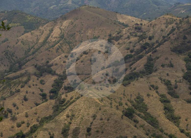 Se estima que la temporada seca, con fuertes heladas en algunas zonas, se extenderá hasta marzo. FOTO archivo jaime pérez