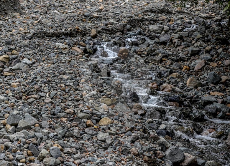 Uno de los cuerpos de agua que alimentan el río Sucio, en el cañón de La Llorona (Occidente) está reducido. FOTOS JULIO CÉSAR HERRERA Y Juan Antonio Sánchez 