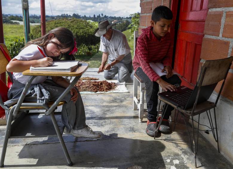 El campo será beneficiado con los puntos de conectividad anunciados ayer por el Gobierno nacional. FOTO Manuel Saldarriaga 