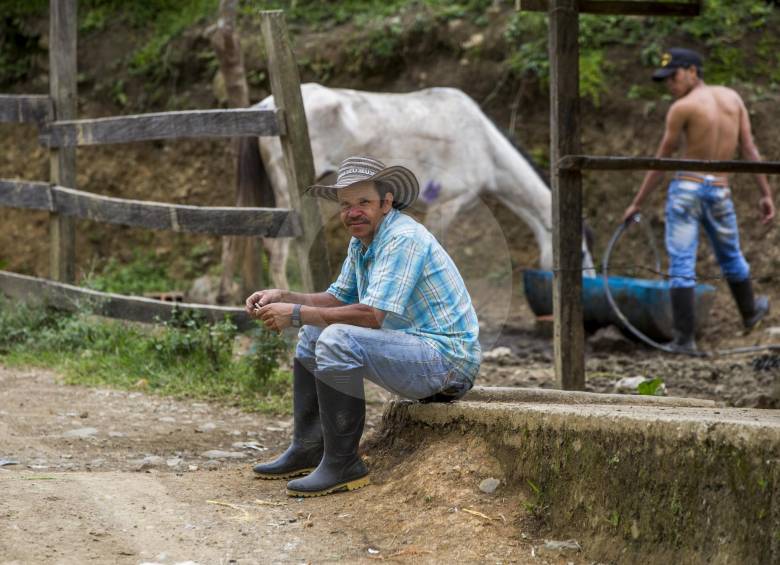 Los ganadería es una de las principales actividades económicas de los campesinos de Santa Lucía. 