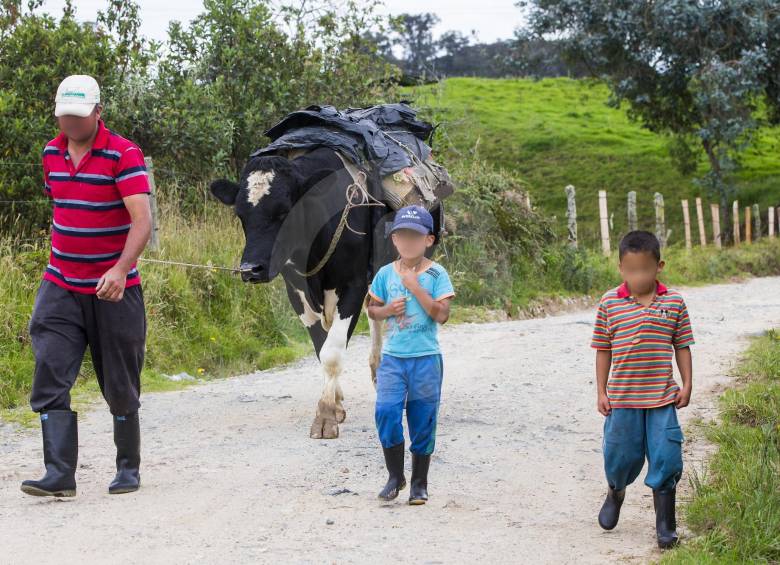 La principal actividad económica es la ganadería lechera, por eso es común encontrarse a las vacas en plena vía, llevando cantinas.