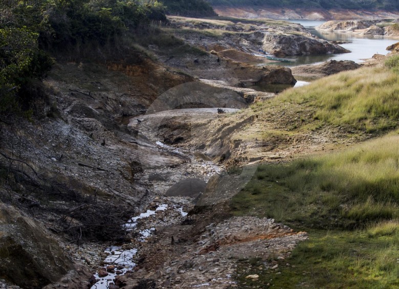 Algunos afluentes del embalse de Guatapé (Oriente) están en niveles mínimos