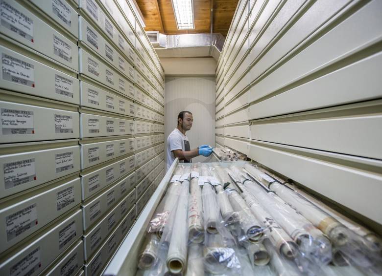 Los archivos históricos, documentales y judiciales aportan principalmente a la recuperación de la memoria histórica, pero también son fuentes de creación artística y material de consulta. FOTOS Edwin Bustamante, santiago mesa y julio césar herrera.