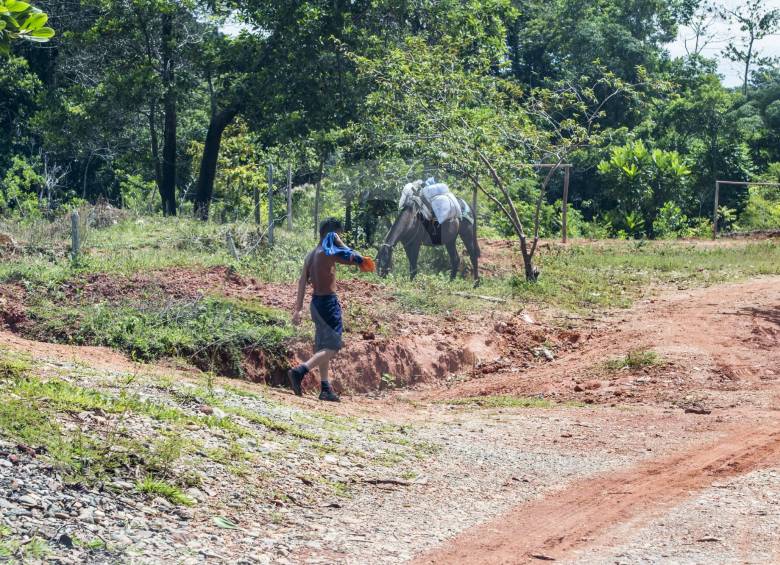 Campesinos de la localidad Buenos Aires aseguran que están pasando hambre. La coca les daba para comer, ahora sin dinero por la sustitución, no tienen que cultivar. FOTO julio césar herrera
