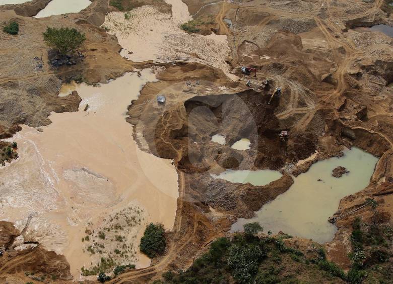 Los ambientalistas han dicho que en el nuevo escenario de paz, el país se enfrentará a un desafío mayor y es el posible aumento de la deforestación y de la minería ilegal. FOTO Donaldo Zuluaga