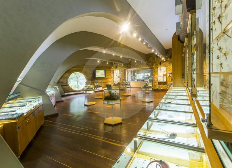 El de Piedras Blancas es uno de los museos temáticos de Antioquia. Especializado en insectos, arácnidos y miriápodos se dedica a la investigación y a la divulgación. FOTOS carlos velásquez