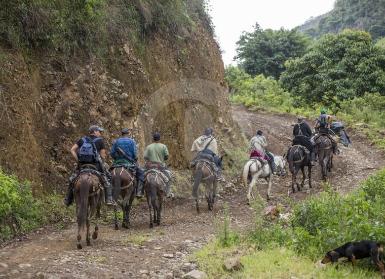 En caminos veredales de Santa Lucía el frente 18 de las Farc transita armado pero sin camuflados. Tiene cerca de 400 hombres.