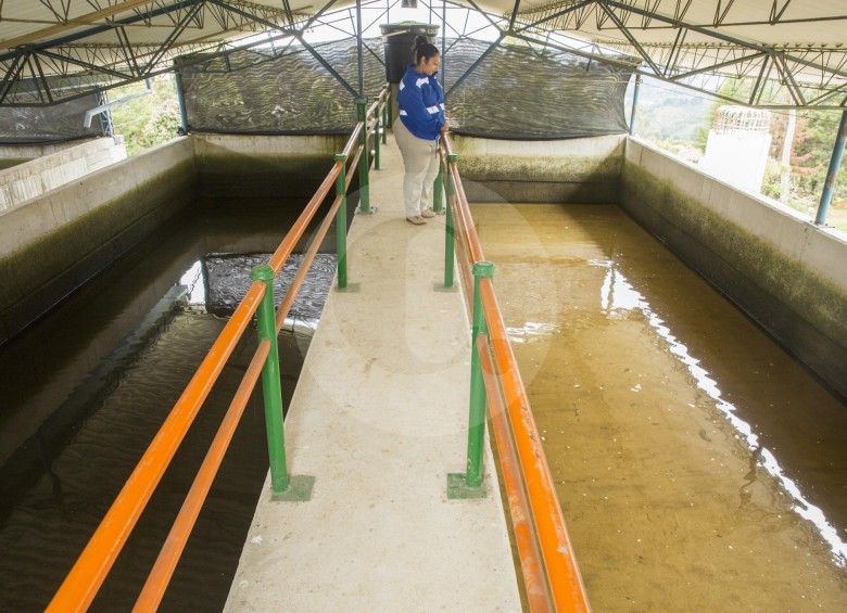 Acueducto ubicado en el corregimiento de Santa Elena, en Medellín, que abastece a los habitantes de la vereda El Llano. En el Valle de Aburrá, el 5,8% de los viviendas todavía no tienen acceso al agua potable, de acuerdo a la Gerencia de Provisión de Aguas de EPM. FOTO EDWIN BUSTAMANTE