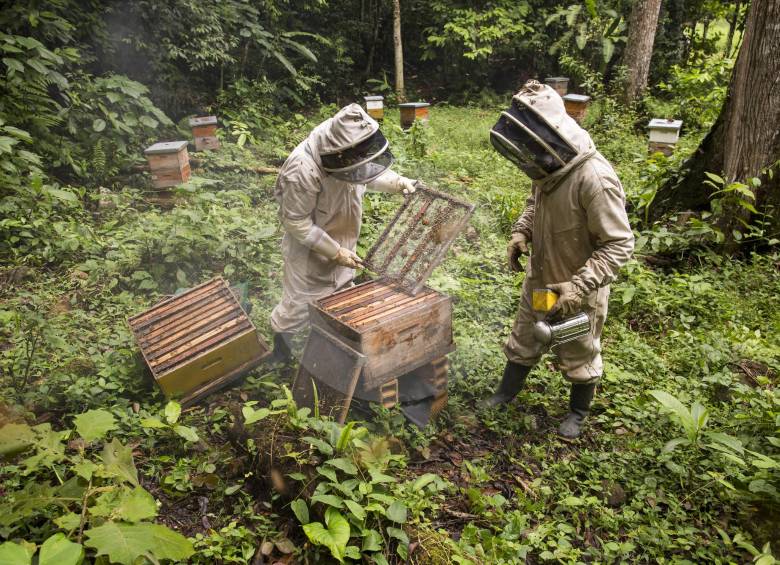 Con estas actividades, Procultivos informó que quiere poner en sintonía a los dos renglones productivos. Foto: Esteban Vanegas 
