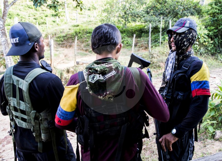 Miembros de grupos armados organizados podrán someterse individualmente a la justicia y obtener beneficios. FOTO Julio cesar Herrera
